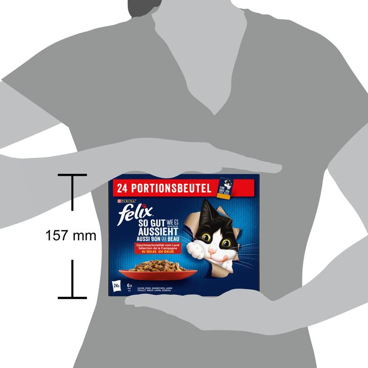 Immagine prodotto Felix Carne di Agail (Adulto, 24 pz., 2040 g)
