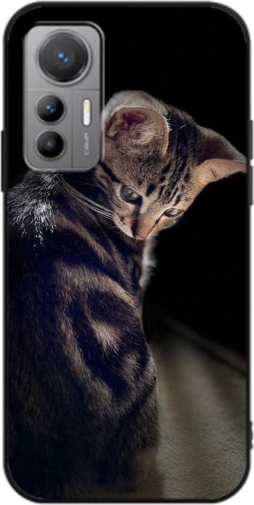 Junge Katze