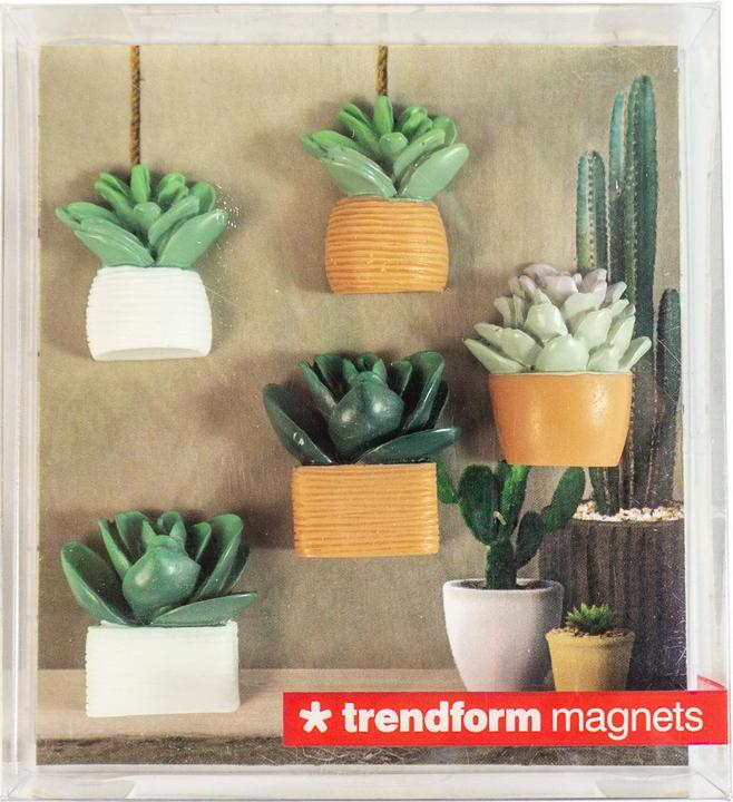Produktbild Trendform Cactus (5 x)