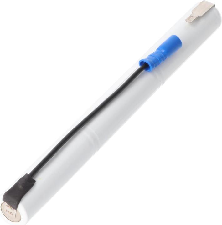 Image du produit AccuCell Batterie RZB 71107840 Luminaires de secours (1 pcs, 860 mAh, Chargeurs sans batterie)