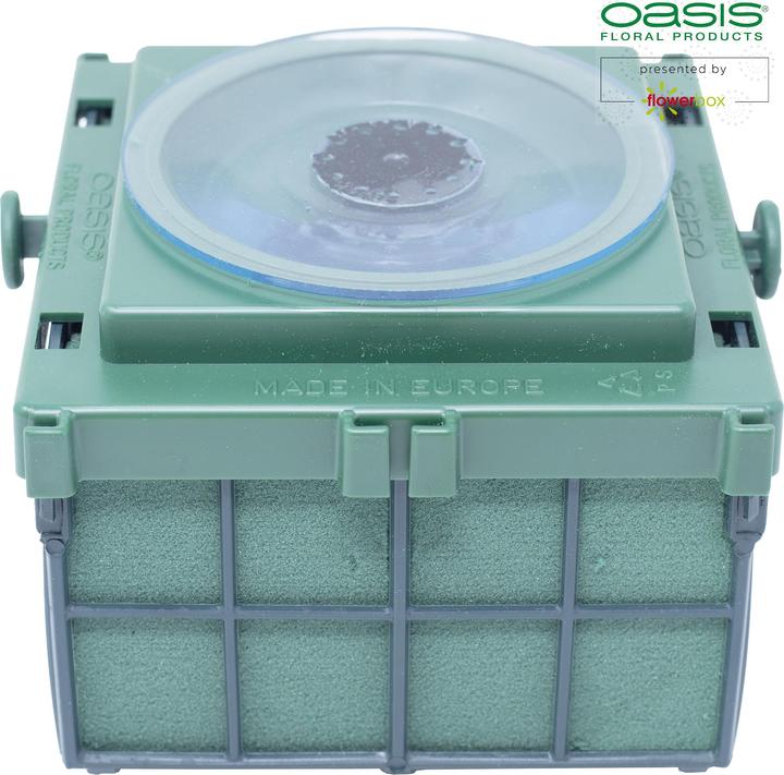 Actual product image Oasis Auto Corso 11 x 11 x 9 cm, 6 pieces