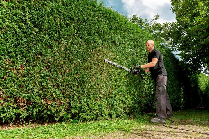 Image du produit Metabo Hs 8765 (Taille-haie électrique)