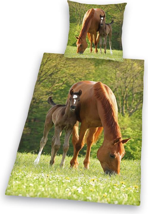 Produktbild Herding Pferd mit Fohlen