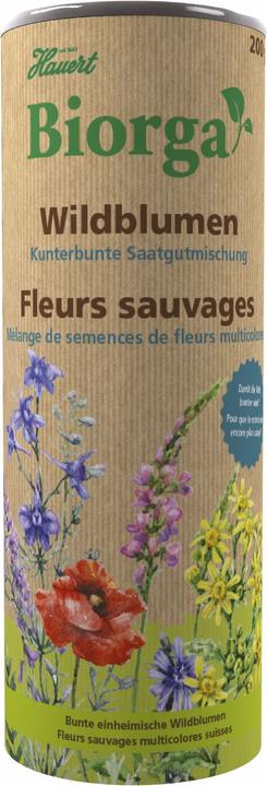 Hauert Wildblumen Kunterbunte Saatgutmischung (Blumensamen)