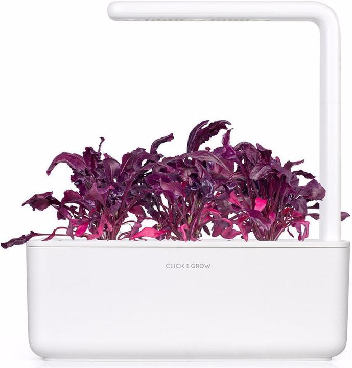 Immagine prodotto Click and Grow Semi Bietola rossa (Semi di verdura)