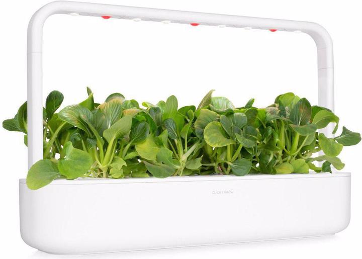 Actual product image Click and Grow Seeds Pak Choi (Vegetable seeds)
