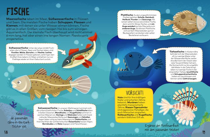 Actual product image Panini Animals: Glow-in-the-Dark Stickers - The Big Book of Animals