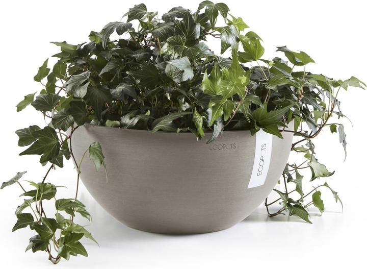 Actual product image Ecopot Brussels (25 cm)