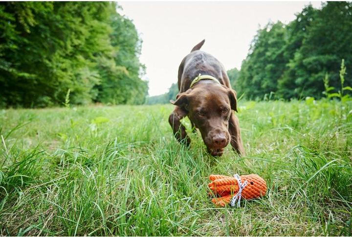Image du produit Laboni Thaddeus Poulpe (Apporter, Jouet à mâcher pour chien, Jouet à lancer chien)