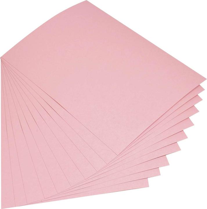 Actual product image Folia Clay cardboard 180g/m², 50x70cm (180 g/m²)