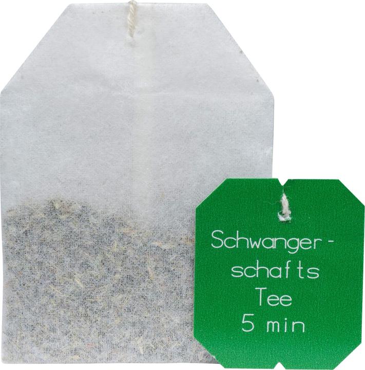 Actual product image Salus Pregnancy tea organic teas (64 g)
