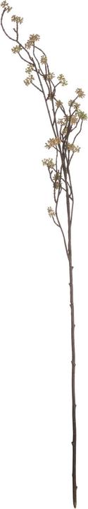 Actual product image Hill Interiors Artificial flower (109 cm)