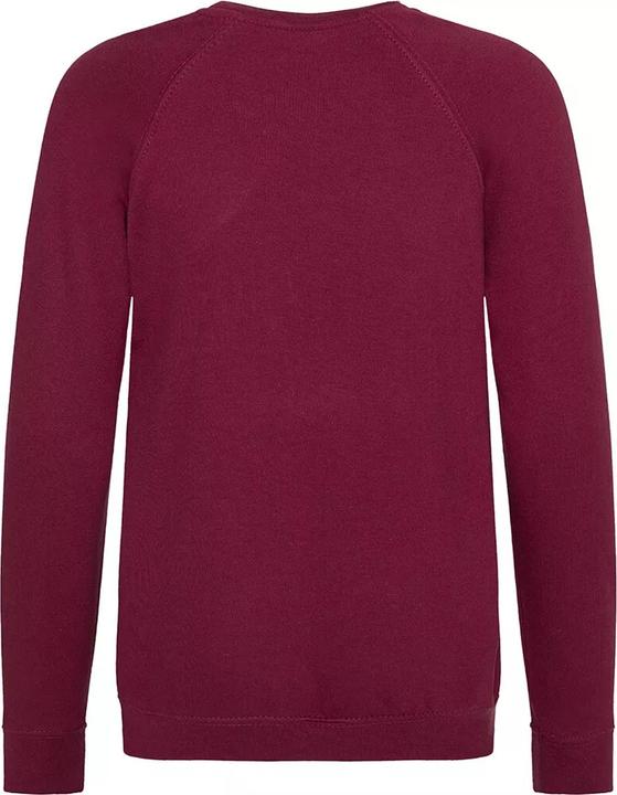 Actual product image Awdis Academy school sweatshirt round neck (pack of 2) (140)