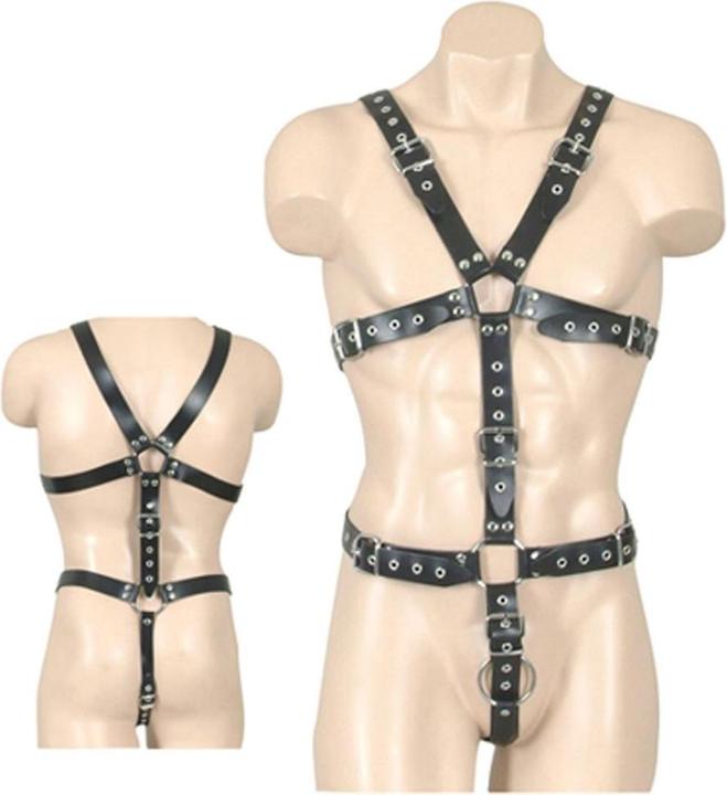 Actual product image Zado harness (S, M, L)