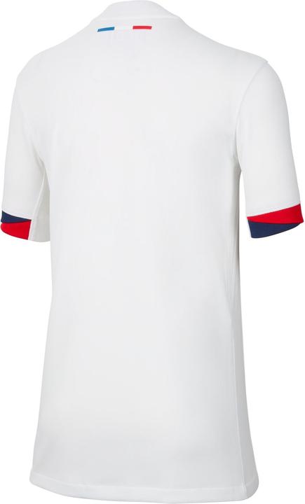 Image du produit Nike Paris Saint-Germain Enfants Maillot Extérieur (M)