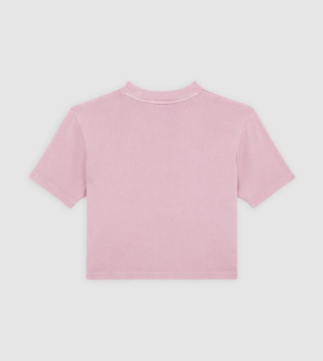 Produktbild Dickies Plentywood Tee Ss W Lilas (S)
