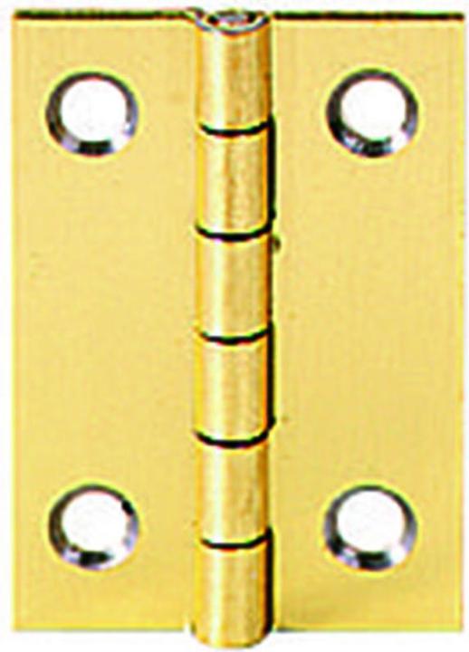 Immagine prodotto Werkstarck Cerniere per scrigno 30x20mm in acciaio verme
