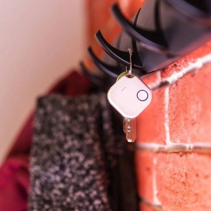 Actual product image Shelly Blu Button 1 White