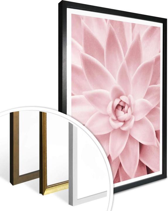 Actual product image Trenddeko Pink succulent (60 x 80 cm)