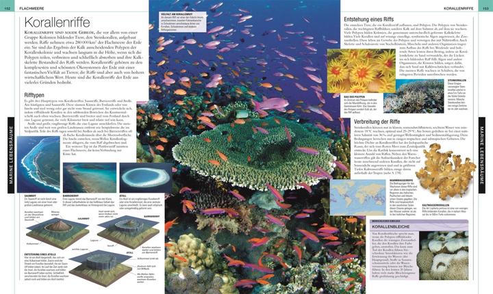 Image du produit Ozeane. DK Bibliothek (Allemand, Philip Eales, Frances Dipper, Monty Halls, Michael Scott, Robert Dinwiddie, Kim Dennis-Bryan, David Bernie, Sue Scott, 2023)