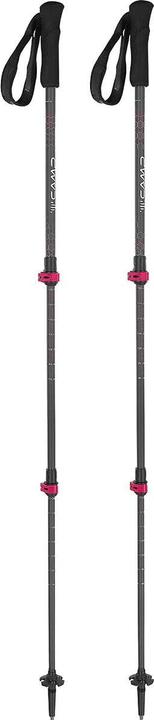 Actual product image Camp Backcountry Carbon (125 cm)