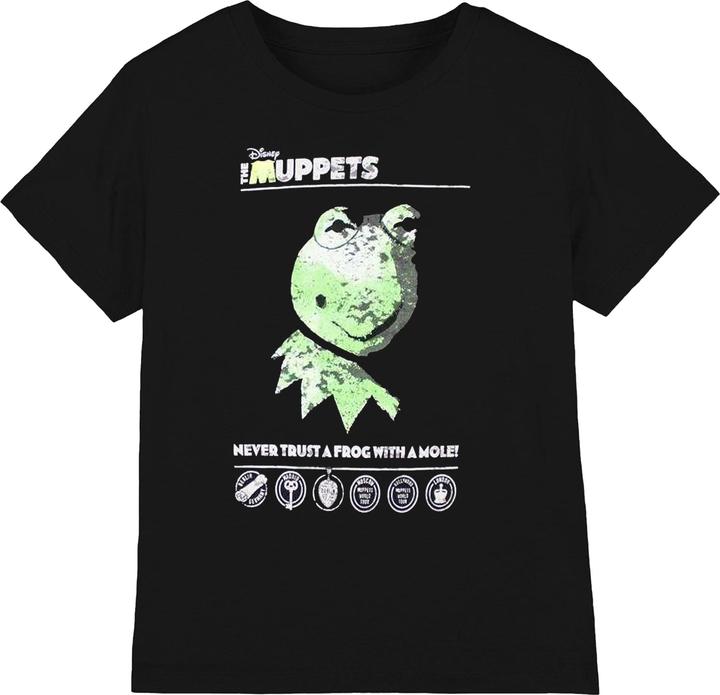 The Rolling Stones US Tour '78 TShirt