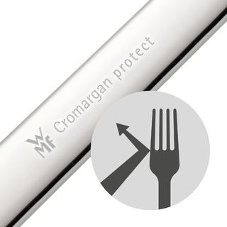 Actual product image WMF vision