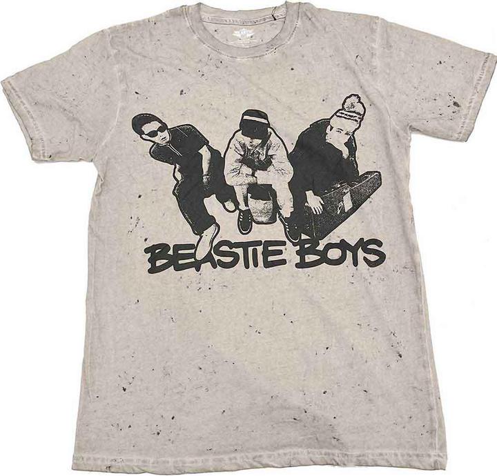 The  Beastie Boys Check Your Head
