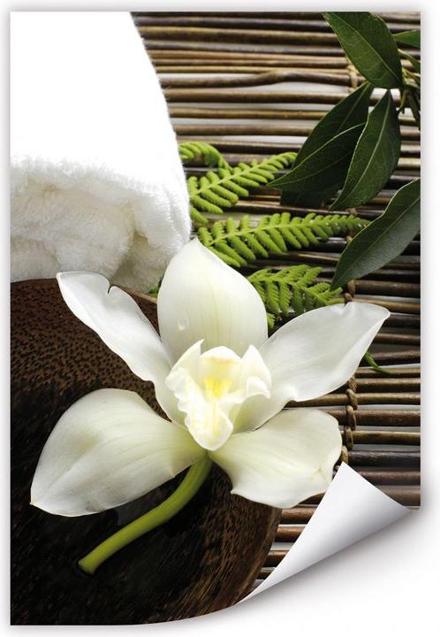 Produktbild Trenddeko Wellness Orchidee (70 x 100 cm)