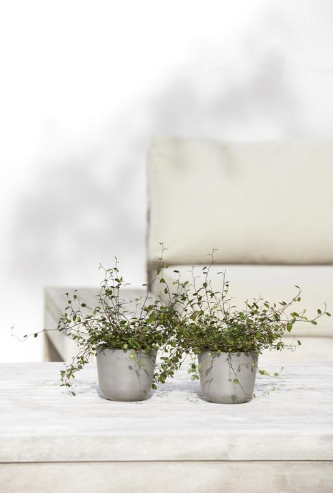 Actual product image Ecopots Oslo Mini (19 cm)