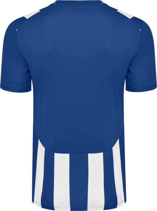 Actual product image Umbro Ramone Jersey (L)