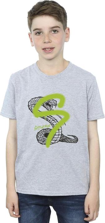 Actual product image Boys Slytherin Pop Spray T-Shirt (152, 158)