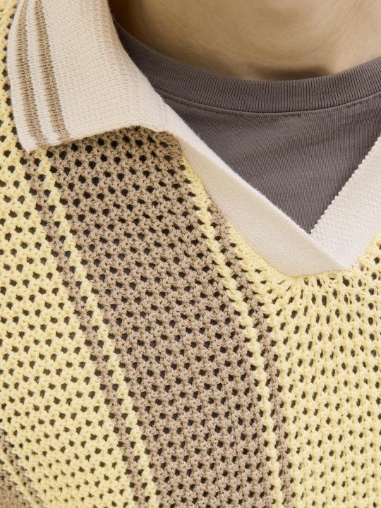 Actual product image Jack & Jones Gestreift Poloshirt Poloshirt (XS)