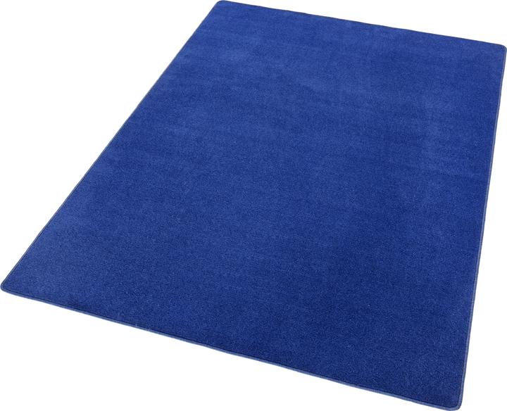 Image du produit Hanse Home Fancy (150 x 80 cm)