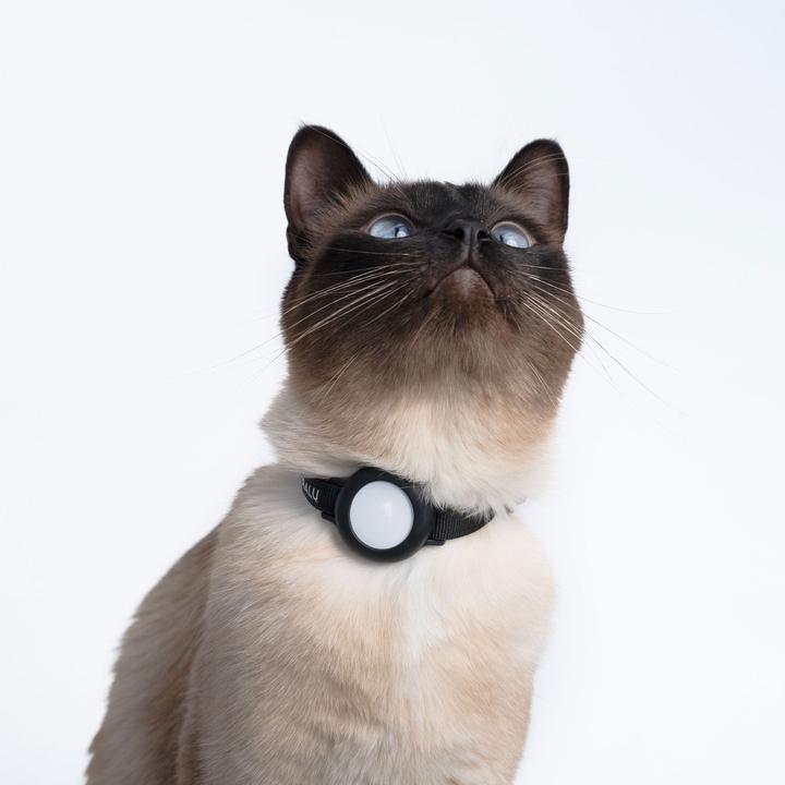 Image du produit LucyBalu DORI AirTag Katzenhalsband (Nylon) (Taille unique, Chat, Général)