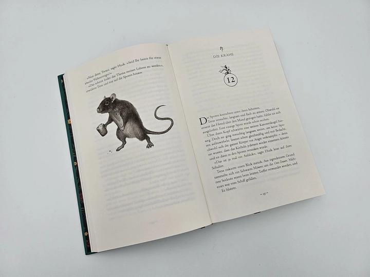 Produktbild Weit über der smaragdgrünen See (Deutsch, Howard Lyon, Simon Weinert, Brandon Sanderson, 2023)