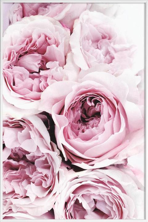Produktbild Juniqe Print 195 (40 x 60 cm)