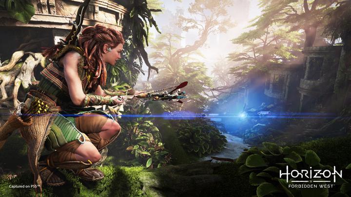 Image du produit Sony Horizon Forbidden West (PS5, EN)