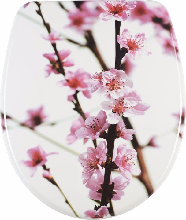 Immagine prodotto Diaqua Sakura