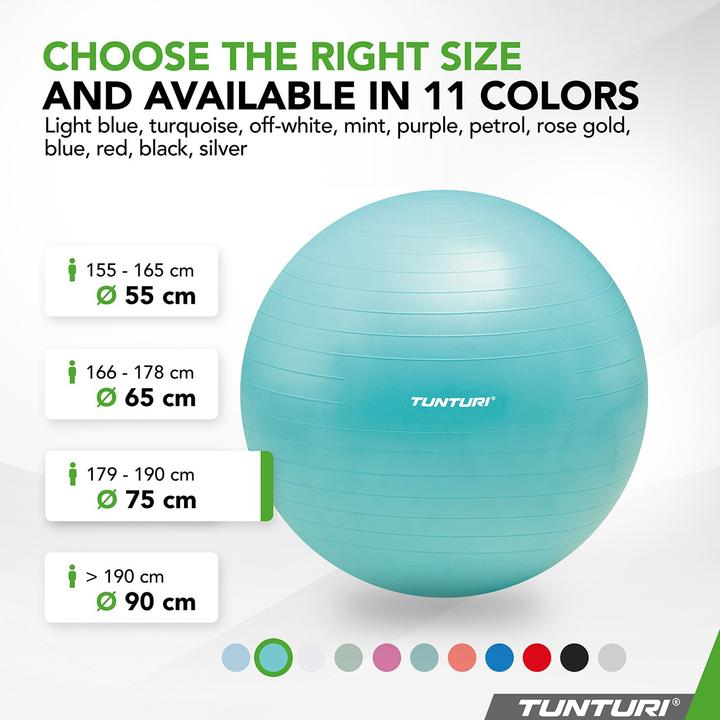 Actual product image Tunturi Gym Ball - Fitnessball reissfest ABS 75 cm Türkis (75 cm)