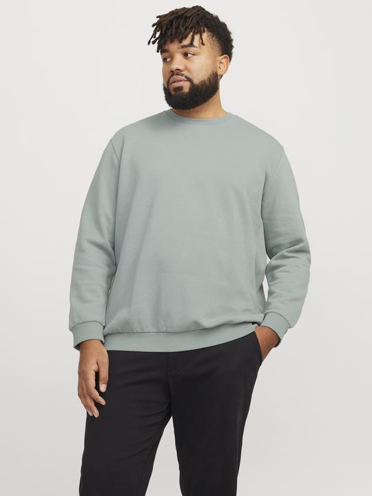 Produktbild Jack & Jones Jjebradley Sweat Crew Noos Pls (5XL)
