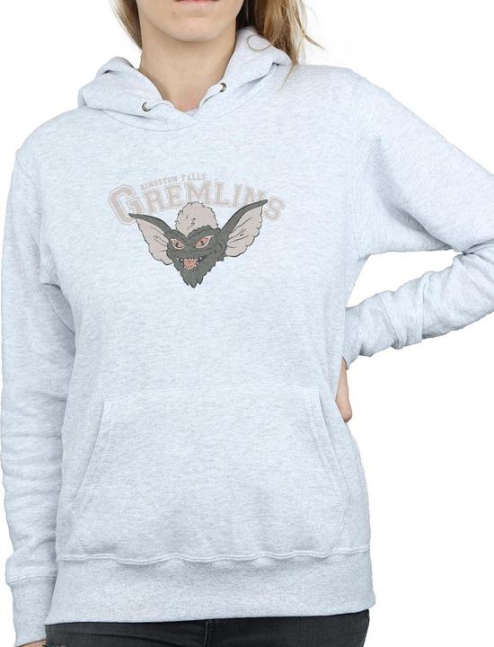 Image du produit Universal Textiles - Sweat à capuche KINGSTON FALLS SPORT - Femme (S)