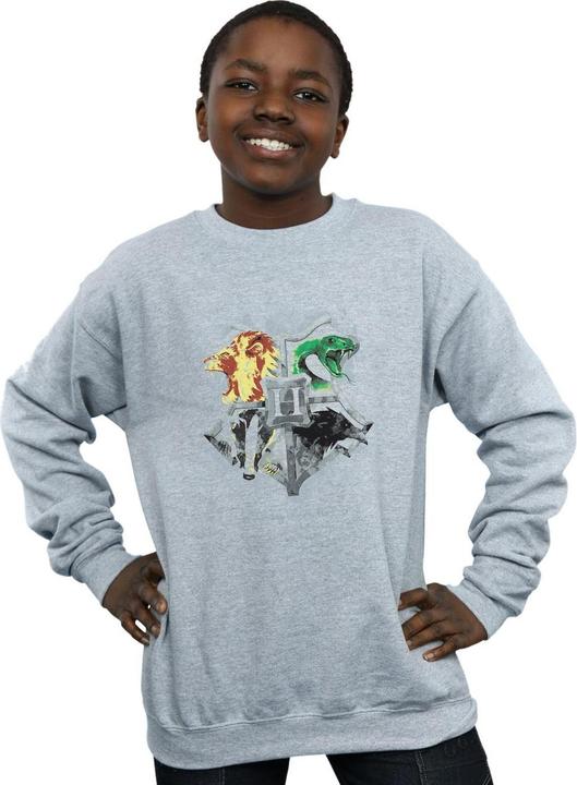 Immagine prodotto Hogwarts Painted Crest Felpa Ragazzi (140, 146)