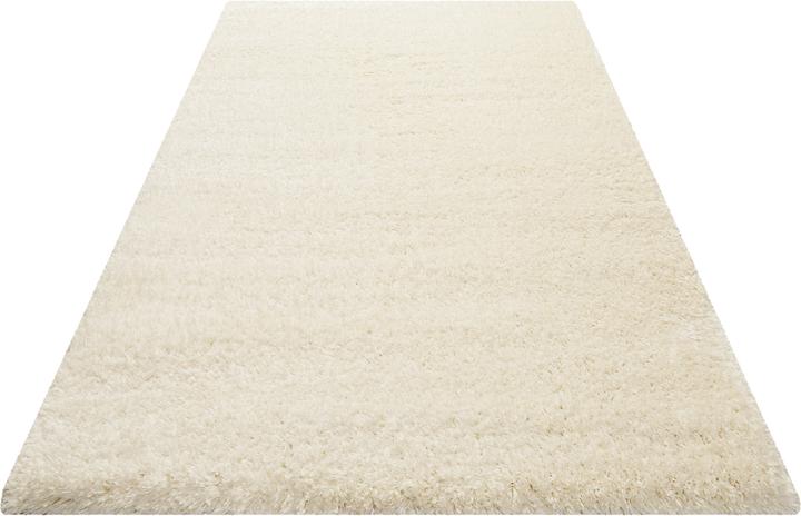 Actual product image Wecon Home Carpet Smilla (80 x 150 cm)