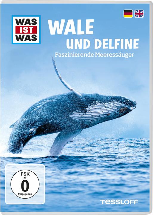 Image du produit Qu'est-ce que c'est? (DVD, 2001, Allemand)