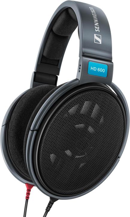 Sennheiser HD 600 (No noise cancelling, Cable)