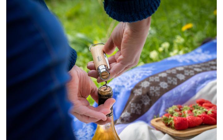 Actual product image Opinel N°10