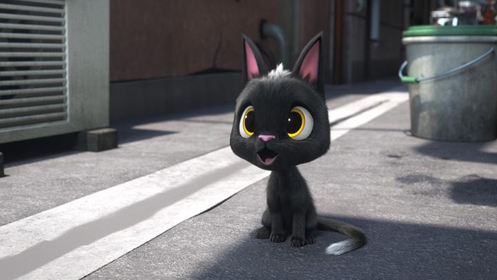 Actual product image Rudolf The Black Cat (DVD, 2017, German)