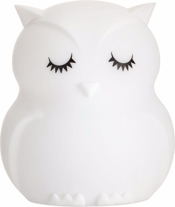 Actual product image Pauleen Owl