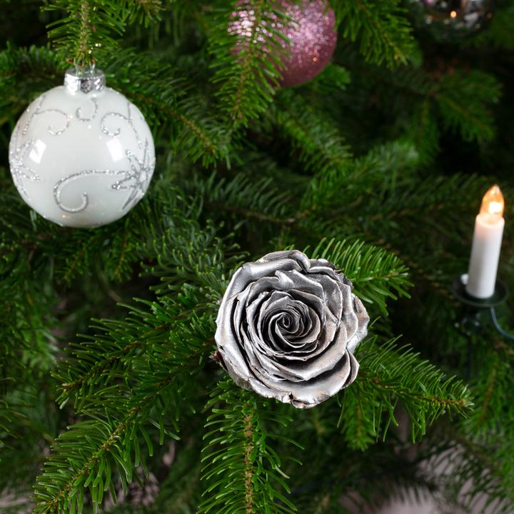 Image du produit Flowerbox Pack de 6 véritables roses de décoration d'arbre de Noël fabriquées à la main (Fleurs séchées)